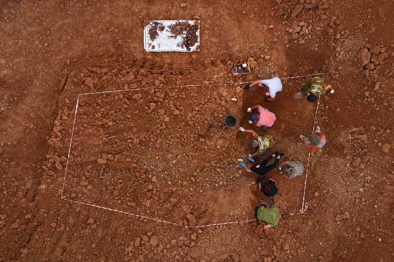 Excavations at the site of a war crime. Site of a mass shooting of people. Human remains bones of skeleton, skulls