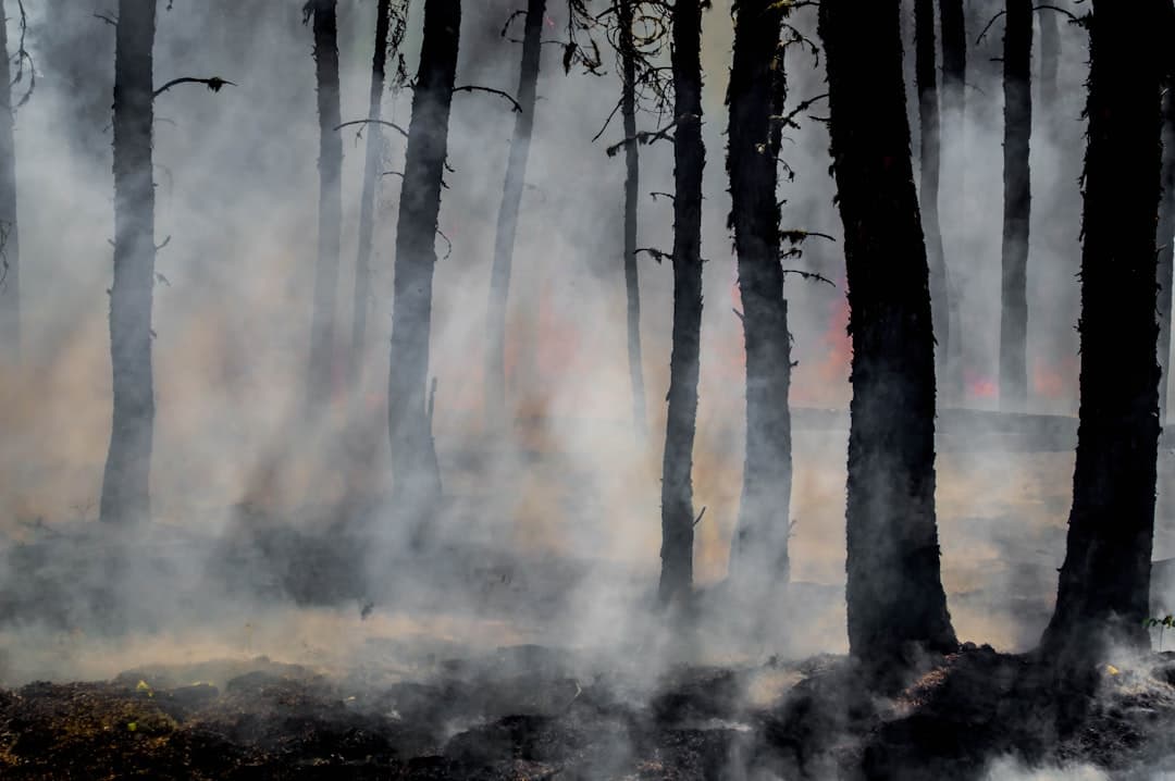 Smoke and glowing embers dominate the forest as wildland firefighters battle the last of the flames of the Harding Fire in north east Saskatchewan