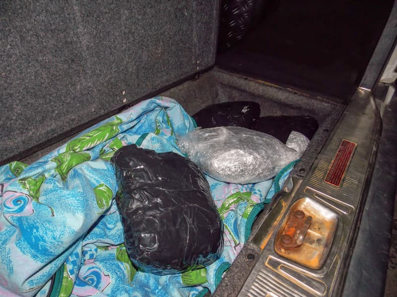 Ukrainian border guards detained a car during an inspection, whose driver tried to smuggle drugs