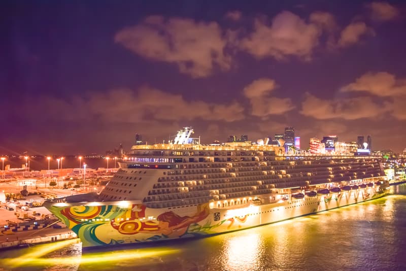 Cruise Passenger Dies After Plunging Off Deck