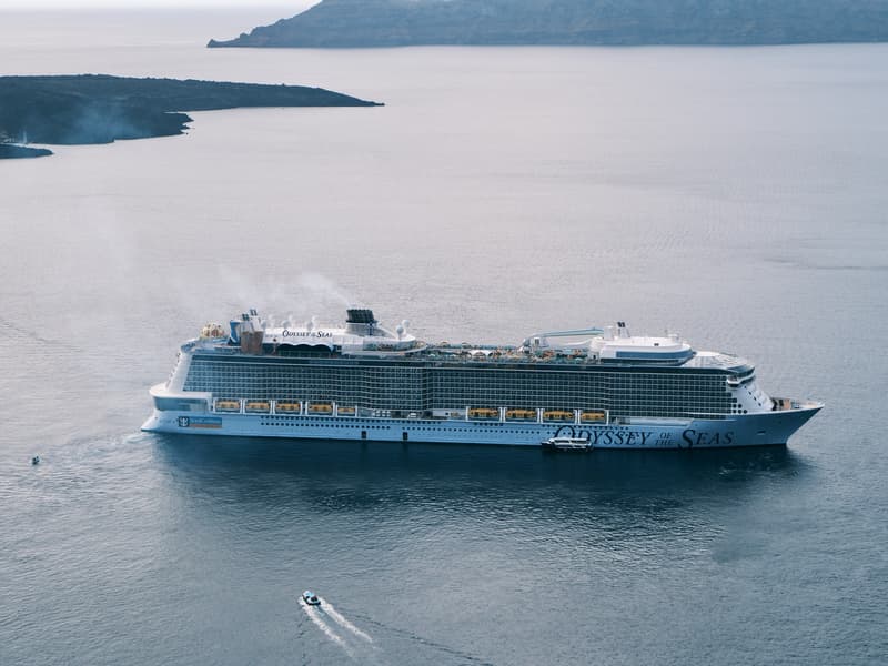 Cruise Passenger, 44, Pulled Alive From Sea