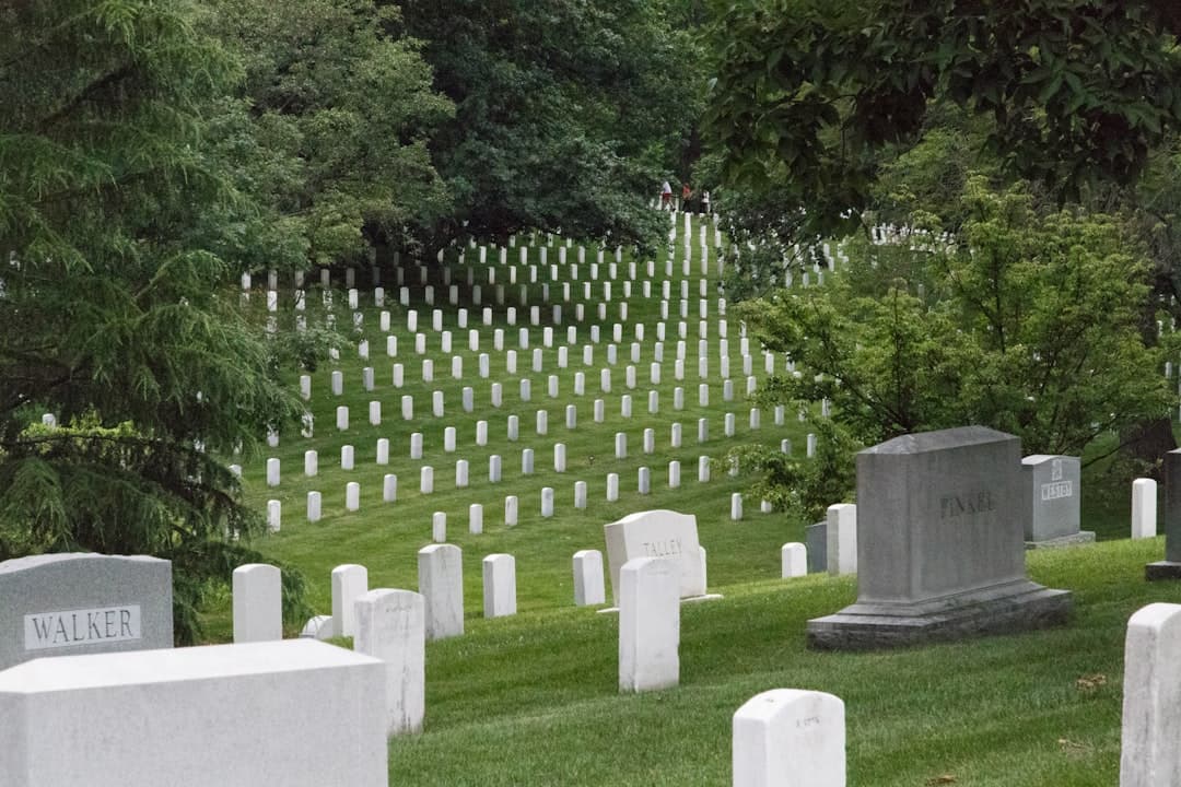 a cemetery with rows of headstones and trees in the background